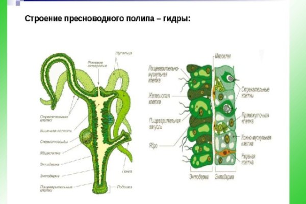 Кракен браузер ссылка