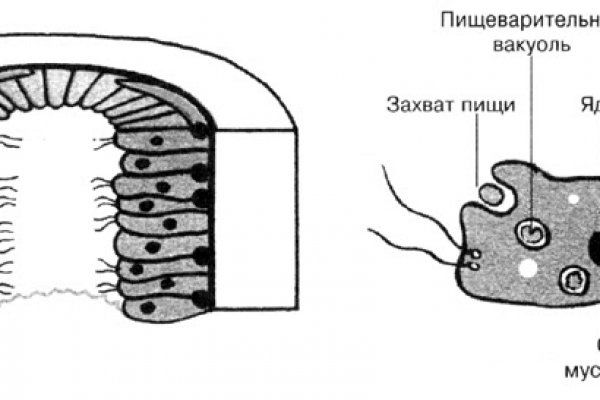 Kraken зеркало даркнет