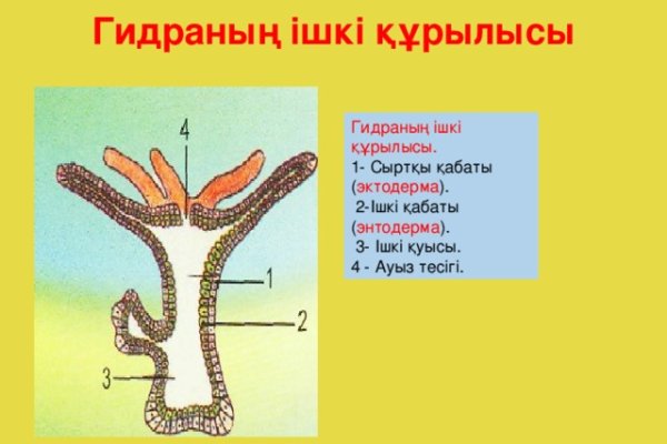 Ссылка кракен сайт зеркало